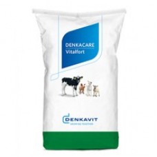 Denkacare Vitalfort