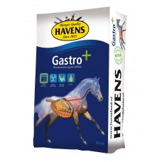 HAVENS Gastro+