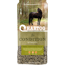Hartog Condition