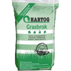 Hartog Grasbrok