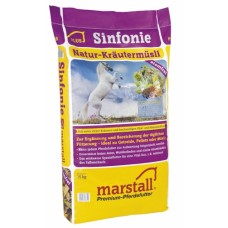 Marstall Sinfonie