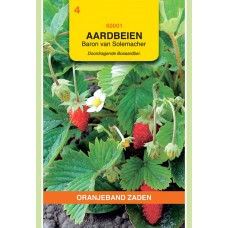 OBZ Aardbeien Baron von Solemacher