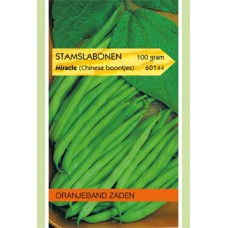 OBZ 100 Gram - Stamslabonen Miracle