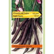 OBZ 100 Gram - Stamslabonen Purple Queen