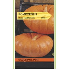 OBZ Pompoenen Rode Van Etampes