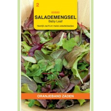 OBZ Salade Mengsel Baby-Leaf