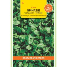 OBZ Spinazie Campania F1 Hybride - 15gram