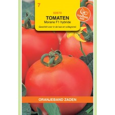 OBZ Tomaten Morane F1 Hybride t.r.