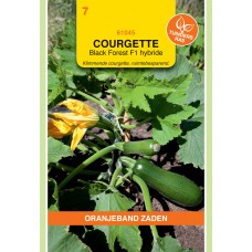 OBZ Courgette Klimmend Black Forest