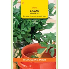 OBZ Lavas (maggiplant)