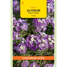 OBZ Alyssum Royal Carpet