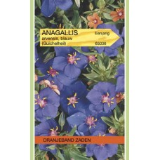 OBZ Anagallis arvensis Blauw