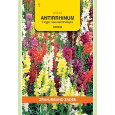 OBZ Antirrhinum majus maximum Gemengd