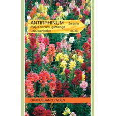 OBZ Antirrhinum majus nanum Gemengd