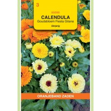 OBZ Calendula Fiesta Gitana