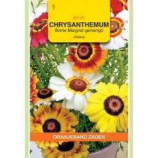 OBZ Chrysanthemum Regenboog Gemengd