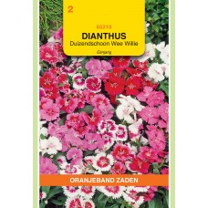 OBZ Dianthus Wee Willie Gemengd