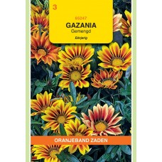 OBZ Gazania splendens Gemengd