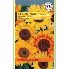 OBZ Helianthus Musicbox Gemengd