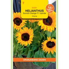 OBZ Helianthus Sunrich Orange F1