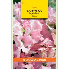 OBZ Lathyrus Odoratus Angels Blush