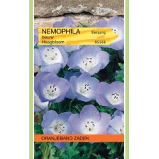 OBZ Nemophila insignis Blauw