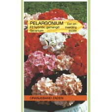 OBZ Pelargonium zonale F2 Gemengd