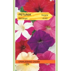 OBZ Petunia Multiflora Gemengd