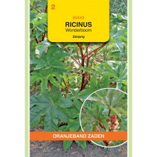 OBZ Ricinus communis Gemengd