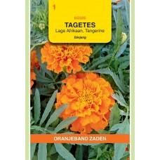 OBZ Tagetes Tangerine