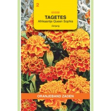 OBZ Tagetes Queen Sophia