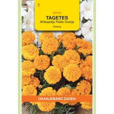 OBZ Tagetes Petite Orange