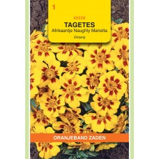 OBZ Tagetes Naughty Marietta