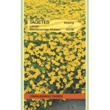 OBZ Tagetes signata Pumila Geel