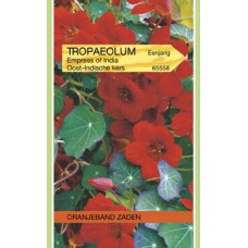 OBZ Tropaeolum Empress of India Rood