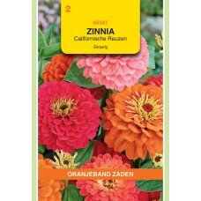 OBZ Zinnia Californische Reuzen Gemengd