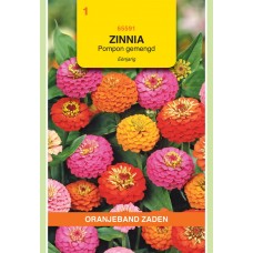 OBZ Zinnia Pompon Gemengd