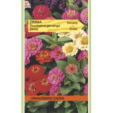 OBZ Zinnia Thumbelina Gemengd