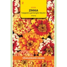 OBZ Zinnia haageana Gemengd