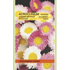 OBZ Acroclinium roseum Dubbele Gemengd