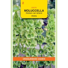 OBZ Moluccella laevis