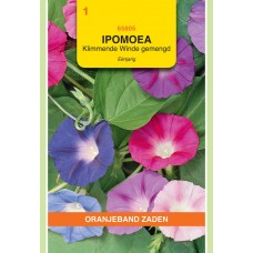 OBZ Ipomoea purpurea Gemengd