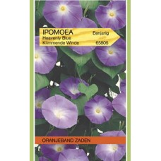 OBZ Ipomoea Heavenly Blue