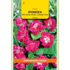 OBZ Ipomoea Dubbel Rose