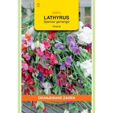 OBZ Lathyrus odoratus Spencer Gemengd