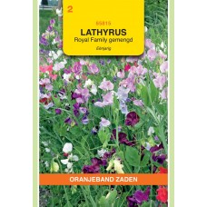 OBZ Lathyrus odoratus Royal Gemengd