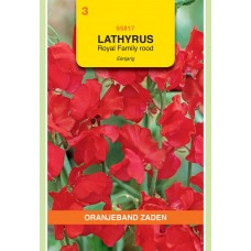 OBZ Lathyrus odoratus Royal Rood