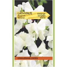 OBZ Lathyrus odoratus Royal Wit