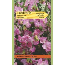 OBZ Lathyrus odoratus Royal Rose