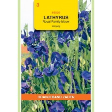 OBZ Lathyrus odoratus Royal Blauw